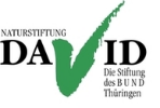 Logo NatDavid